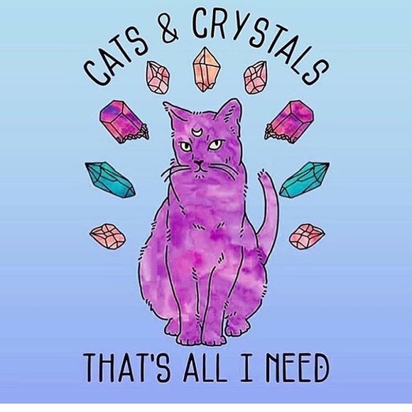 Meet your Posher, Me - Picture 1 of 1